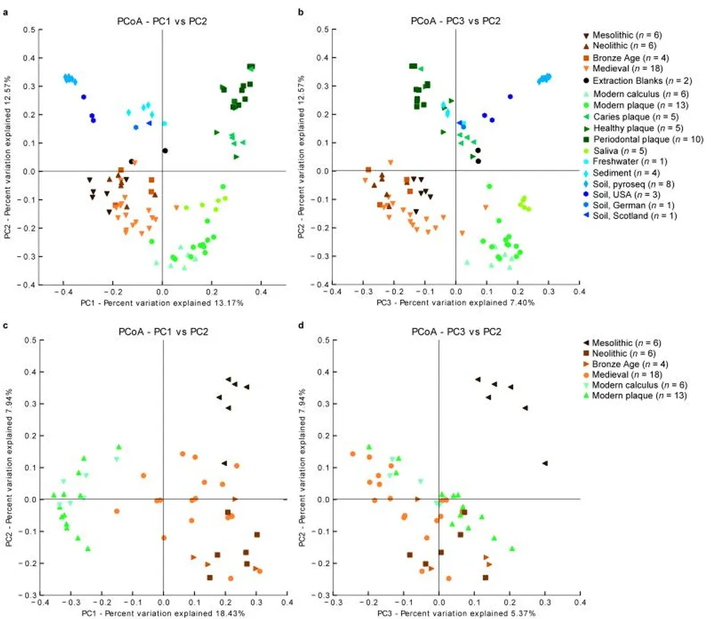 An Astronaut walking on a terrain