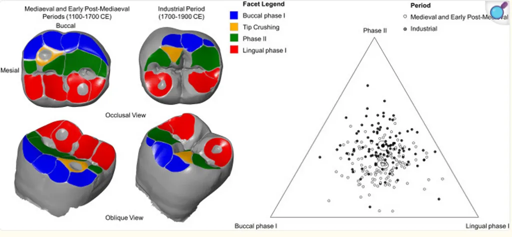An Astronaut walking on a terrain