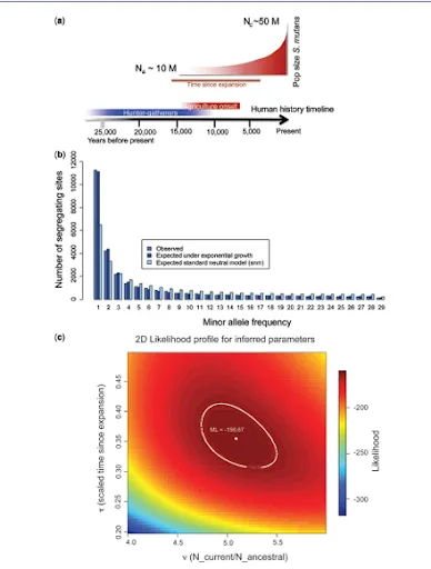 An Astronaut walking on a terrain